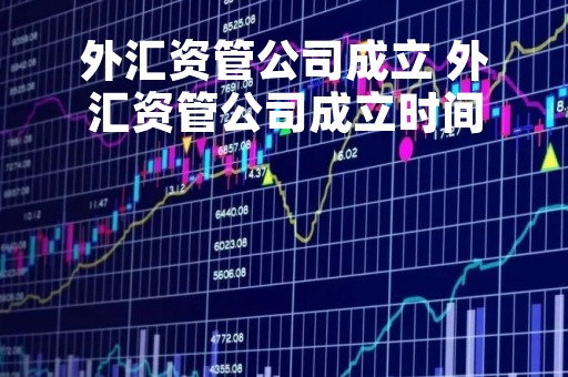 外汇资管公司成立 外汇资管公司成立时间