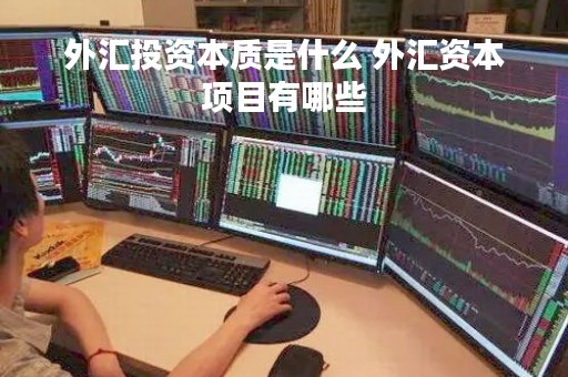 外汇投资本质是什么 外汇资本项目有哪些