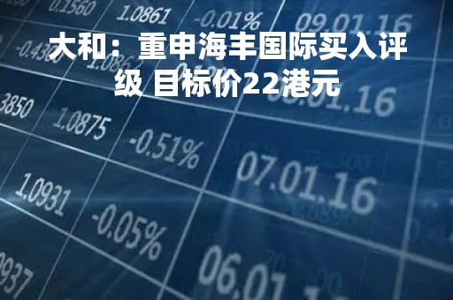 大和：重申海丰国际买入评级 目标价22港元
