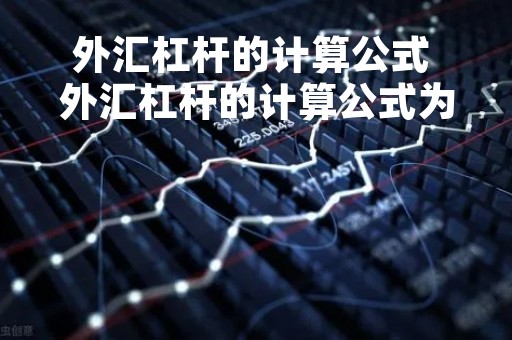 外汇杠杆的计算公式 外汇杠杆的计算公式为