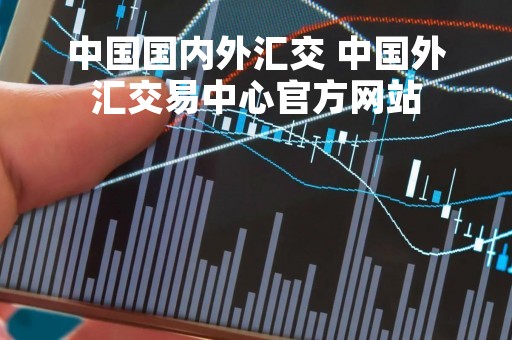 中国国内外汇交 中国外汇交易中心官方网站