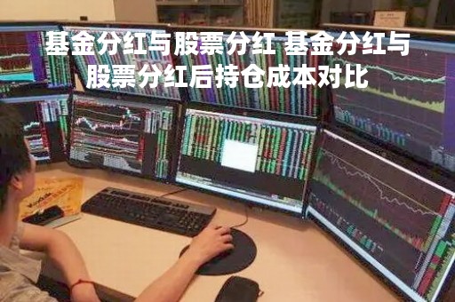 基金分红与股票分红 基金分红与股票分红后持仓成本对比