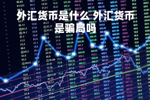 外汇货币是什么 外汇货币是骗局吗