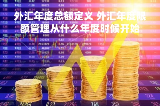 外汇年度总额定义 外汇年度限额管理从什么年度时候开始