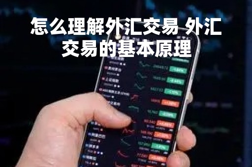 怎么理解外汇交易 外汇交易的基本原理