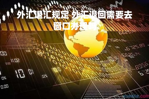 外汇退汇规定 外汇退回需要去窗口办理吗