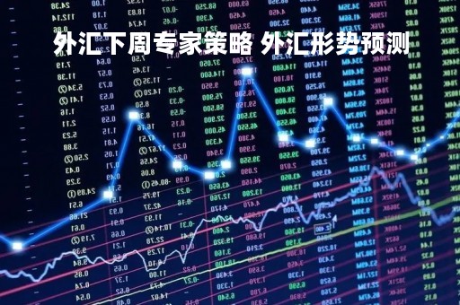 外汇下周专家策略 外汇形势预测
