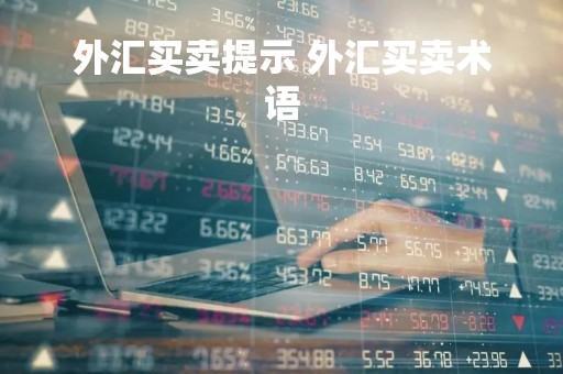 外汇买卖提示 外汇买卖术语