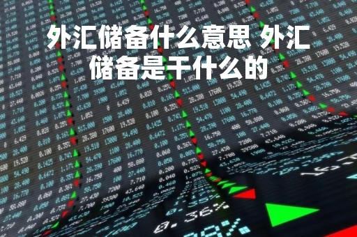 外汇储备什么意思 外汇储备是干什么的
