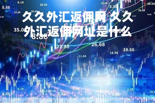 久久外汇返佣网 久久外汇返佣网址是什么