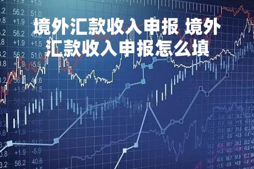 境外汇款收入申报 境外汇款收入申报怎么填
