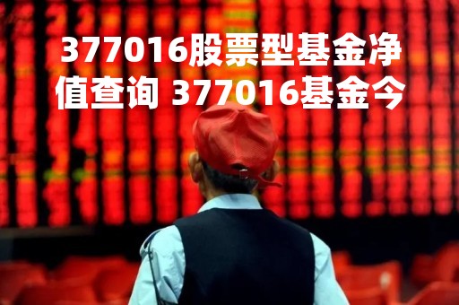 377016股票型基金净值查询 377016基金今天净值查询070003