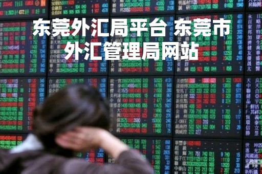 东莞外汇局平台 东莞市外汇管理局网站