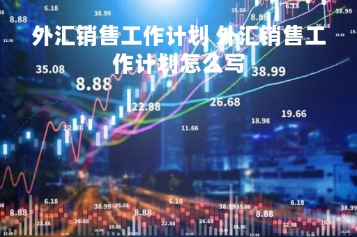 外汇销售工作计划 外汇销售工作计划怎么写