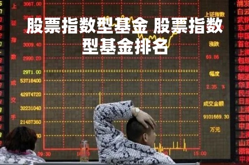 股票指数型基金 股票指数型基金排名