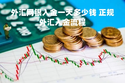 外汇网银入金一天多少钱 正规外汇入金流程