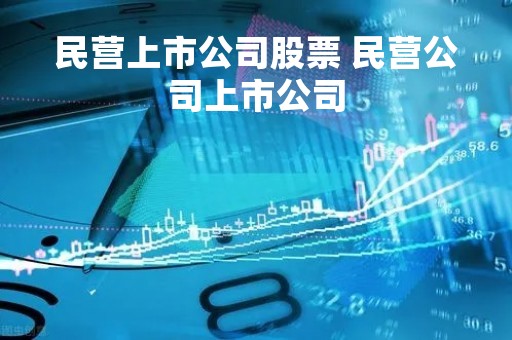 民营上市公司股票 民营公司上市公司