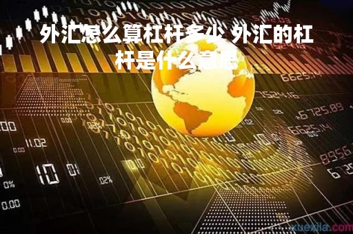 外汇怎么算杠杆多少 外汇的杠杆是什么意思