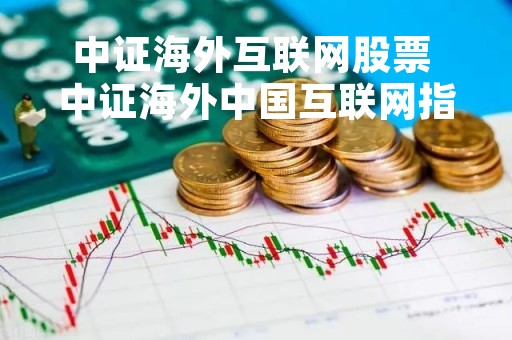 中证海外互联网股票 中证海外中国互联网指数官网