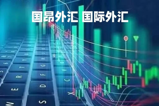 国昂外汇 国际外汇