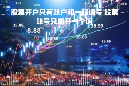 股票开户只有账户和一码通号 股票账号只能开一个吗