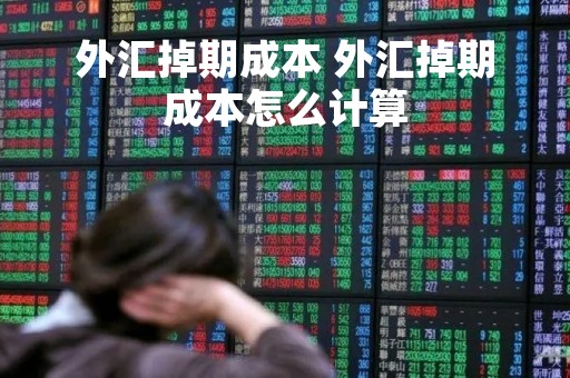外汇掉期成本 外汇掉期成本怎么计算