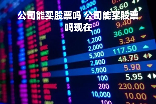 公司能买股票吗 公司能买股票吗现在