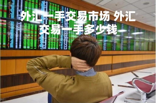 外汇一手交易市场 外汇交易一手多少钱