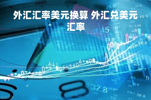 外汇汇率美元换算 外汇兑美元汇率