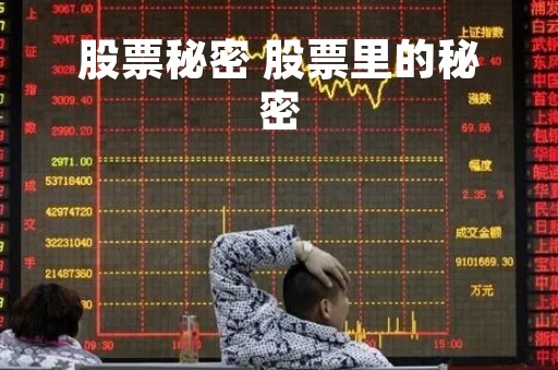 股票秘密 股票里的秘密 股票秘密 股票里的秘密