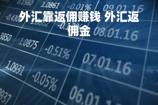 外汇靠返佣赚钱 外汇返佣金