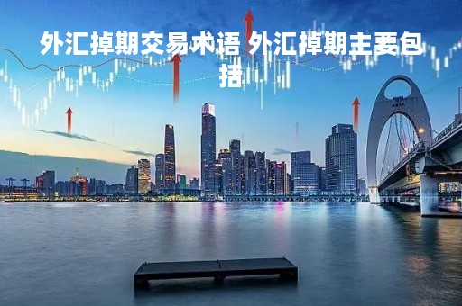 外汇掉期交易术语 外汇掉期主要包括