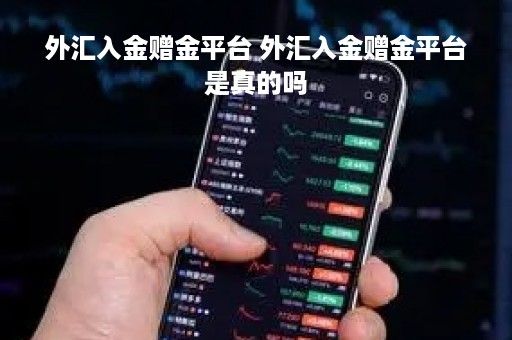 外汇入金赠金平台 外汇入金赠金平台是真的吗