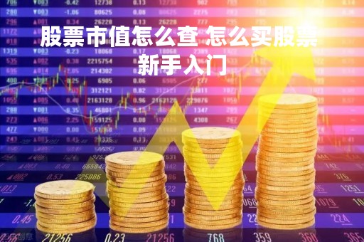 股票市值怎么查 怎么买股票 新手入门