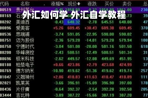 外汇如何学 外汇自学教程