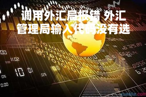 调用外汇局报错 外汇管理局输入代码没有选项