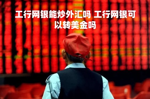 工行网银能炒外汇吗 工行网银可以转美金吗