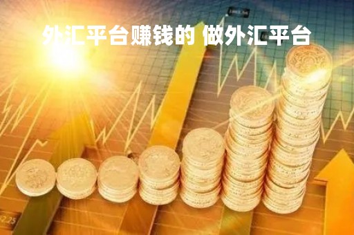 外汇平台赚钱的 做外汇平台