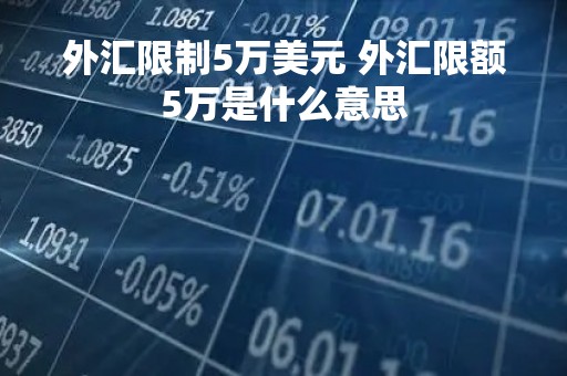 外汇限制5万美元 外汇限额5万是什么意思