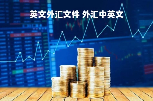 英文外汇文件 外汇中英文