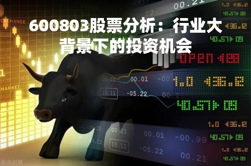 600803股票分析：行业大背景下的投资机会
