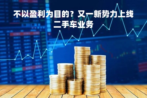 不以盈利为目的？又一新势力上线二手车业务