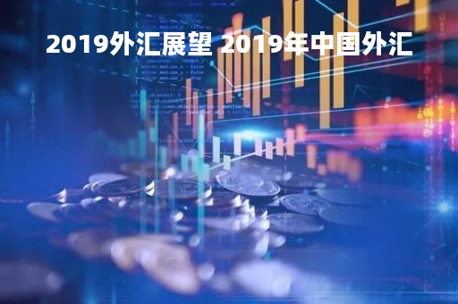 2019外汇展望 2019年中国外汇