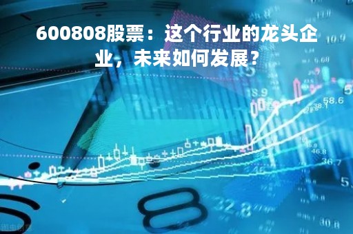 600808股票：这个行业的龙头企业，未来如何发展？