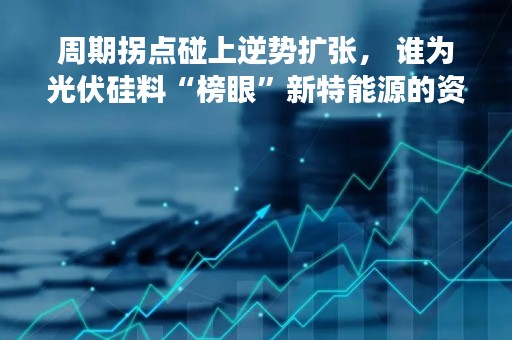 周期拐点碰上逆势扩张， 谁为光伏硅料“榜眼”新特能源的资本梦买单？