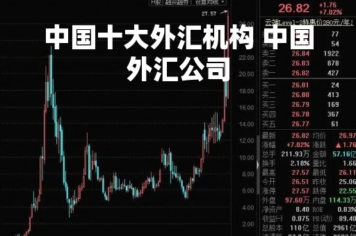中国十大外汇机构 中国外汇公司