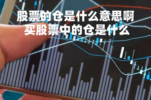 股票的仓是什么意思啊 买股票中的仓是什么意思 股票的仓是什么意思啊 买股票中的仓是什么意思
