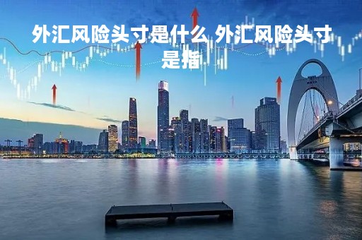 外汇风险头寸是什么 外汇风险头寸是指