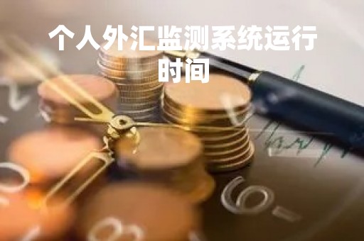 个人外汇监测系统运行时间
