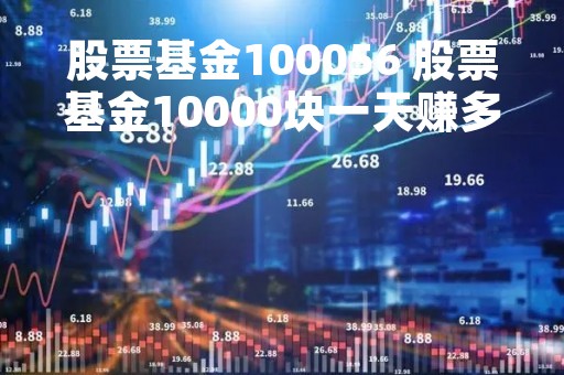股票基金100056 股票基金10000块一天赚多少